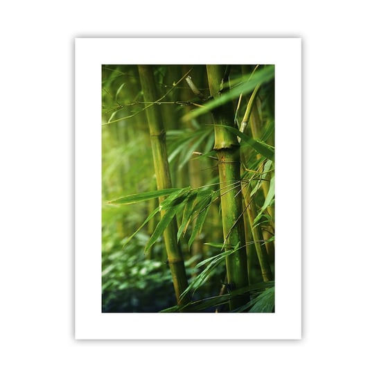 Obraz - Plakat - Poznać zieleń samą w sobie - 30x40cm - Roślina Bambus Dżungla - Foto Plakaty na ścianę bez ramy - Plakat do Salonu Sypialni ARTTOR ARTTOR