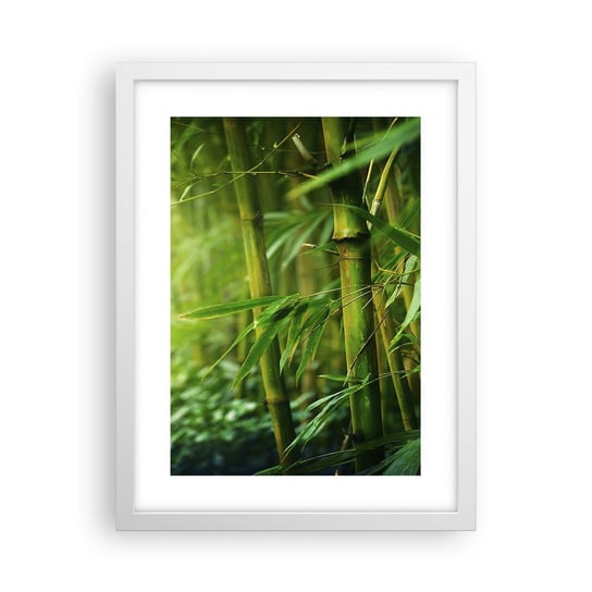 Obraz - Plakat - Poznać zieleń samą w sobie - 30x40cm - Roślina Bambus Dżungla - Foto Plakaty na ścianę w ramie białej - Plakat do Salonu Sypialni ARTTOR ARTTOR