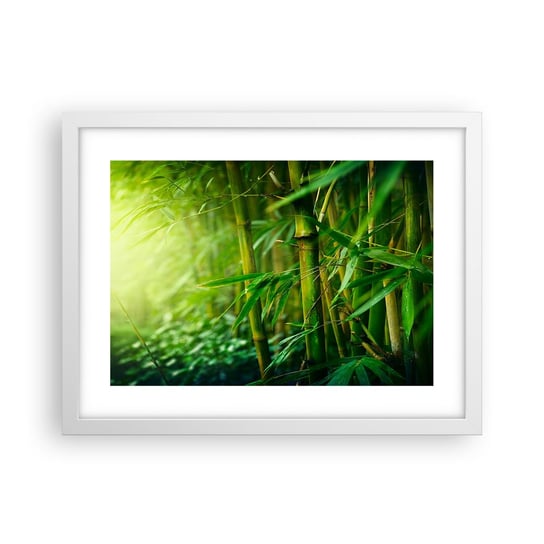 Obraz - Plakat - Poznać zieleń samą w sobie - 40x30cm - Roślina Bambus Dżungla - Foto Plakaty na ścianę w ramie białej - Plakat do Salonu Sypialni ARTTOR ARTTOR