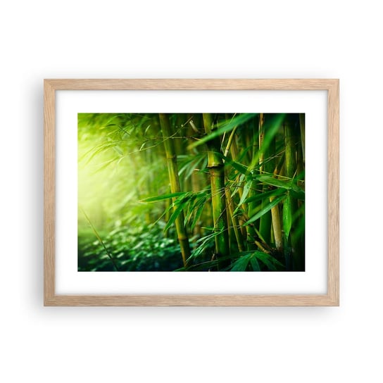 Obraz - Plakat - Poznać zieleń samą w sobie - 40x30cm - Roślina Bambus Dżungla - Foto Plakaty na ścianę w ramie jasny dąb - Plakat do Salonu Sypialni ARTTOR ARTTOR