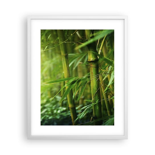 Obraz - Plakat - Poznać zieleń samą w sobie - 40x50cm - Roślina Bambus Dżungla - Foto Plakaty w ramie koloru białego do Salonu Sypialni ARTTOR ARTTOR