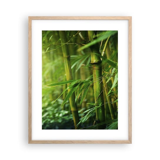 Obraz - Plakat - Poznać zieleń samą w sobie - 40x50cm - Roślina Bambus Dżungla - Foto Plakaty w ramie koloru jasny dąb do Salonu Sypialni ARTTOR ARTTOR