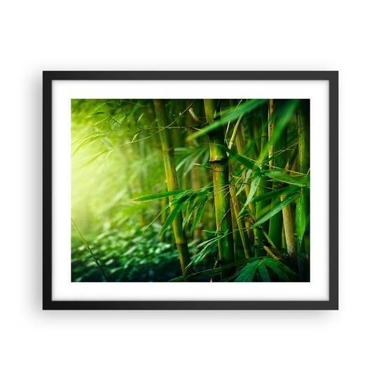 Obraz - Plakat - Poznać zieleń samą w sobie - 50x40cm - Roślina Bambus Dżungla - Foto Plakaty w ramie koloru czarnego do Salonu Sypialni ARTTOR ARTTOR