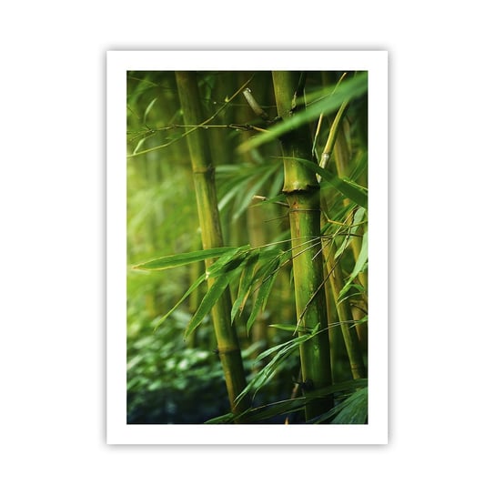 Obraz - Plakat - Poznać zieleń samą w sobie - 50x70cm - Roślina Bambus Dżungla - Nowoczesny modny obraz Plakat bez ramy do Salonu Sypialni ARTTOR ARTTOR