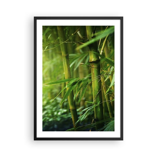 Obraz - Plakat - Poznać zieleń samą w sobie - 50x70cm - Roślina Bambus Dżungla - Nowoczesny modny obraz Plakat czarna rama ARTTOR ARTTOR