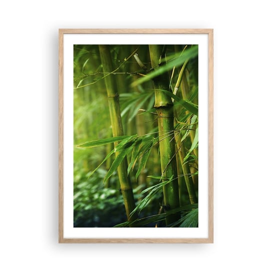 Obraz - Plakat - Poznać zieleń samą w sobie - 50x70cm - Roślina Bambus Dżungla - Nowoczesny modny obraz Plakat rama jasny dąb ARTTOR ARTTOR