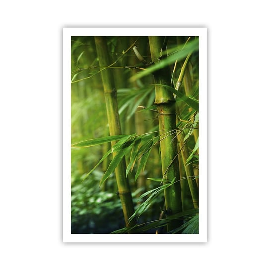 Obraz - Plakat - Poznać zieleń samą w sobie - 61x91cm - Roślina Bambus Dżungla - Foto Plakaty na ścianę bez ramy - Plakat do Salonu Sypialni ARTTOR ARTTOR