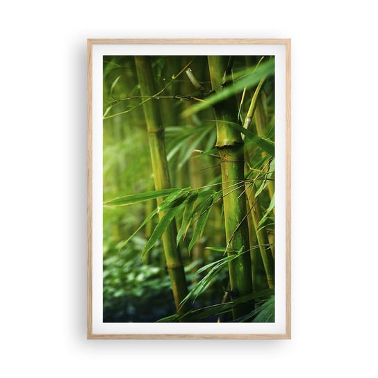 Obraz - Plakat - Poznać zieleń samą w sobie - 61x91cm - Roślina Bambus Dżungla - Foto Plakaty na ścianę w ramie jasny dąb - Plakat do Salonu Sypialni ARTTOR ARTTOR