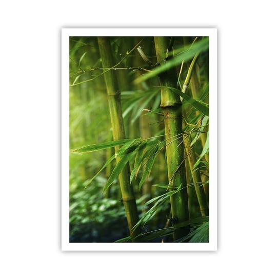 Obraz - Plakat - Poznać zieleń samą w sobie - 70x100cm - Roślina Bambus Dżungla - Foto Plakaty bez ramy na ścianę do Salonu Sypialni ARTTOR ARTTOR