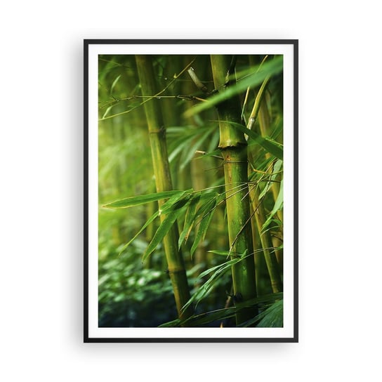Obraz - Plakat - Poznać zieleń samą w sobie - 70x100cm - Roślina Bambus Dżungla - Foto Plakaty w ramie koloru czarnego do Salonu Sypialni ARTTOR ARTTOR