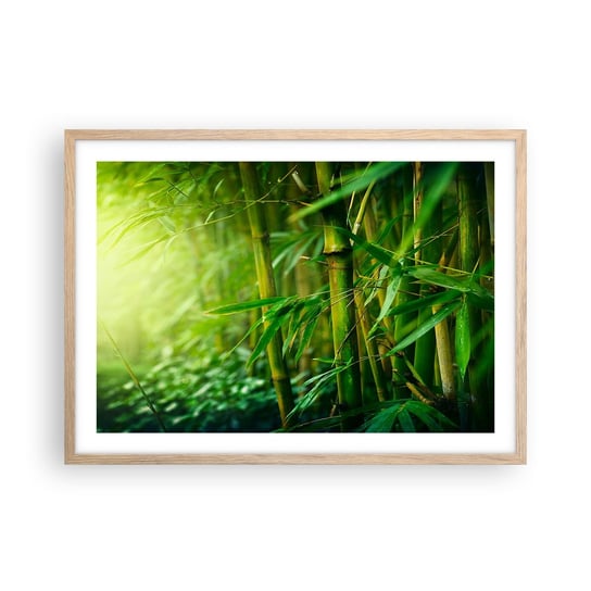 Obraz - Plakat - Poznać zieleń samą w sobie - 70x50cm - Roślina Bambus Dżungla - Nowoczesny modny obraz Plakat rama jasny dąb ARTTOR ARTTOR