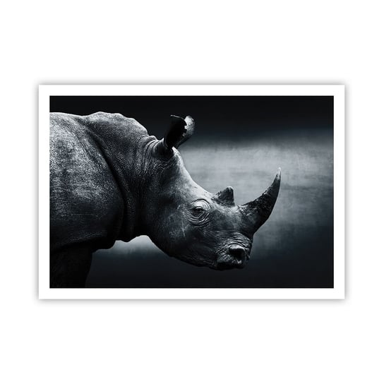 Obraz - Plakat - Prawy profil - 100x70cm - Nosorożec Czarno-Biały Zwierzęta - Foto Plakaty bez ramy na ścianę do Salonu Sypialni ARTTOR ARTTOR