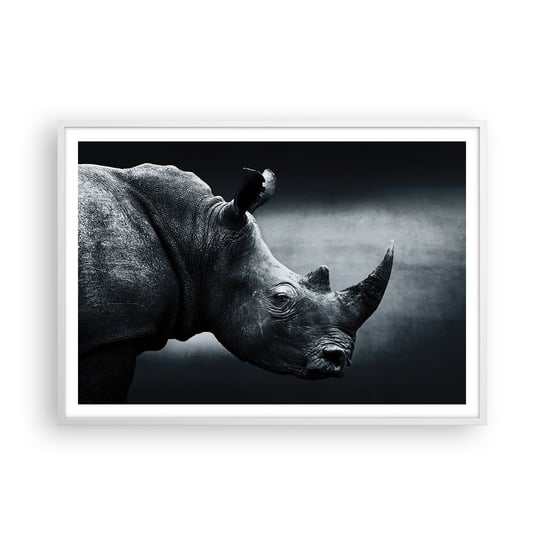Obraz - Plakat - Prawy profil - 100x70cm - Nosorożec Czarno-Biały Zwierzęta - Foto Plakaty w ramie koloru białego do Salonu Sypialni ARTTOR ARTTOR