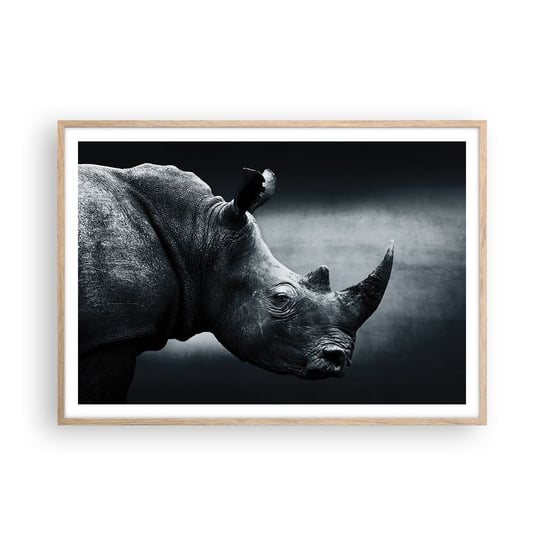 Obraz - Plakat - Prawy profil - 100x70cm - Nosorożec Czarno-Biały Zwierzęta - Foto Plakaty w ramie koloru jasny dąb do Salonu Sypialni ARTTOR ARTTOR