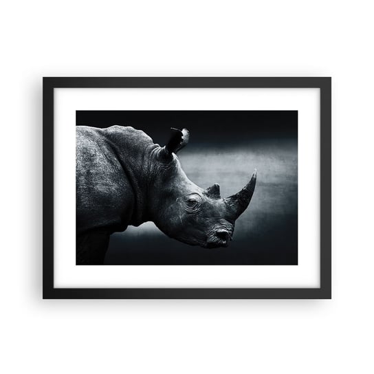 Obraz - Plakat - Prawy profil - 40x30cm - Nosorożec Czarno-Biały Zwierzęta - Foto Plakaty na ścianę w czarnej ramie - Plakat do Salonu Sypialni ARTTOR ARTTOR