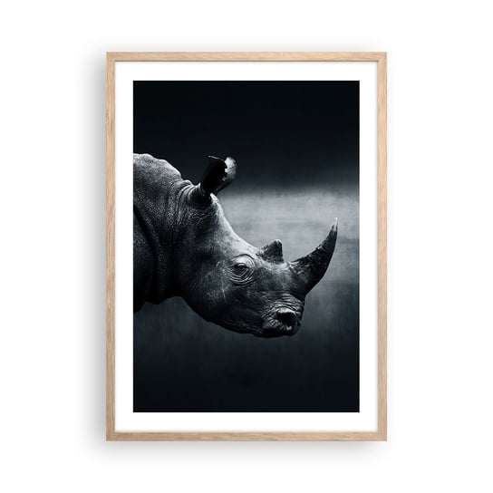 Obraz - Plakat - Prawy profil - 50x70cm - Nosorożec Czarno-Biały Zwierzęta - Nowoczesny modny obraz Plakat rama jasny dąb ARTTOR ARTTOR