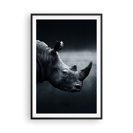 Obraz - Plakat - Prawy profil - 61x91cm - Nosorożec Czarno-Biały Zwierzęta - Foto Plakaty na ścianę w czarnej ramie - Plakat do Salonu Sypialni ARTTOR ARTTOR