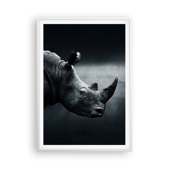 Obraz - Plakat - Prawy profil - 70x100cm - Nosorożec Czarno-Biały Zwierzęta - Foto Plakaty w ramie koloru białego do Salonu Sypialni ARTTOR ARTTOR