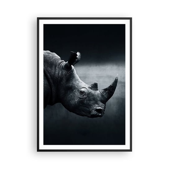 Obraz - Plakat - Prawy profil - 70x100cm - Nosorożec Czarno-Biały Zwierzęta - Foto Plakaty w ramie koloru czarnego do Salonu Sypialni ARTTOR ARTTOR