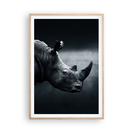 Obraz - Plakat - Prawy profil - 70x100cm - Nosorożec Czarno-Biały Zwierzęta - Foto Plakaty w ramie koloru jasny dąb do Salonu Sypialni ARTTOR ARTTOR
