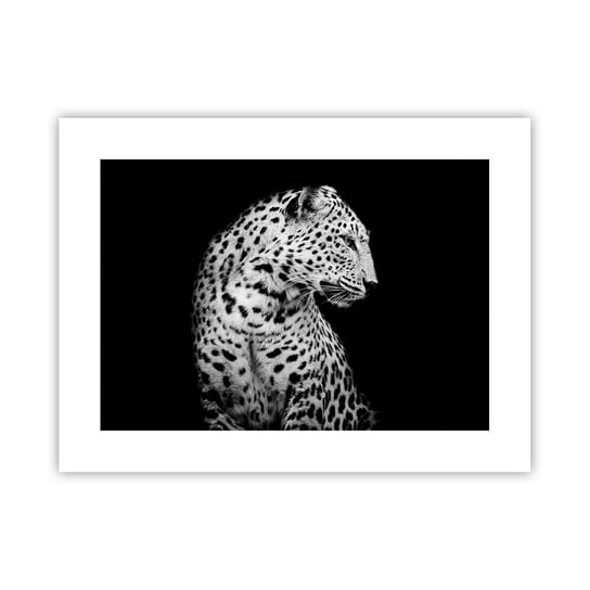 Obraz - Plakat - Prawy profil doskonały! - 40x30cm - Zwierzęta Lampart Czarno-Biały - Foto Plakaty na ścianę bez ramy - Plakat do Salonu Sypialni ARTTOR ARTTOR
