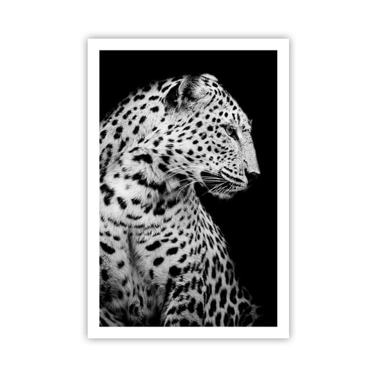Obraz - Plakat - Prawy profil doskonały! - 61x91cm - Zwierzęta Lampart Czarno-Biały - Foto Plakaty na ścianę bez ramy - Plakat do Salonu Sypialni ARTTOR ARTTOR