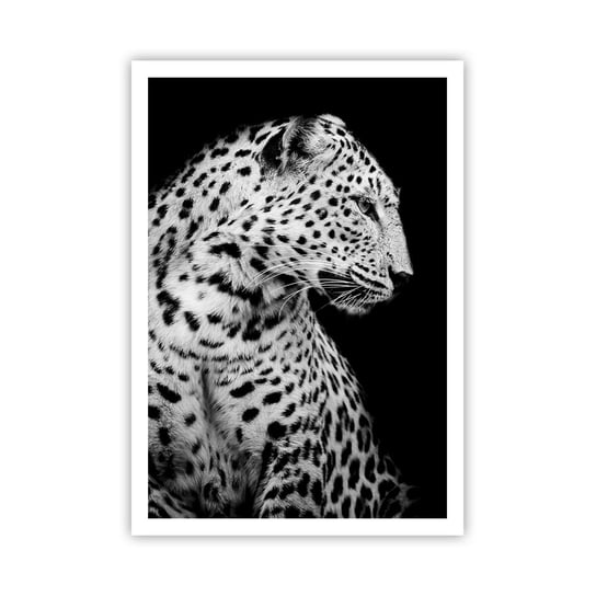Obraz - Plakat - Prawy profil doskonały! - 70x100cm - Zwierzęta Lampart Czarno-Biały - Foto Plakaty bez ramy na ścianę do Salonu Sypialni ARTTOR ARTTOR