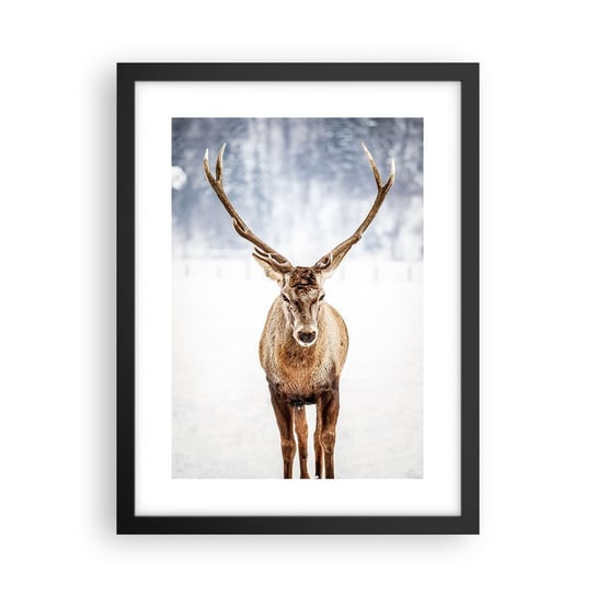 Obraz - Plakat - Prosto ze śnieżnej mgły - 30x40cm - Renifer Zwierzęta Zima - Foto Plakaty na ścianę w czarnej ramie - Plakat do Salonu Sypialni ARTTOR ARTTOR