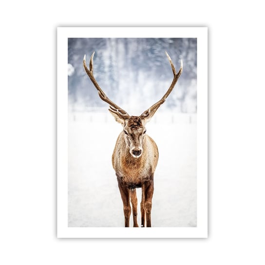 Obraz - Plakat - Prosto ze śnieżnej mgły - 50x70cm - Renifer Zwierzęta Zima - Nowoczesny modny obraz Plakat bez ramy do Salonu Sypialni ARTTOR ARTTOR