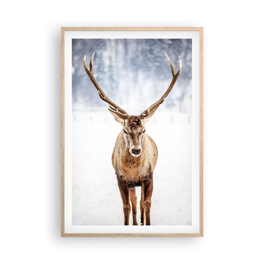 Obraz - Plakat - Prosto ze śnieżnej mgły - 61x91cm - Renifer Zwierzęta Zima - Foto Plakaty na ścianę w ramie jasny dąb - Plakat do Salonu Sypialni ARTTOR ARTTOR