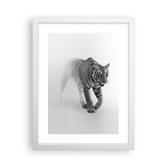 Obraz - Plakat - Przyczajony we mgle - 30x40cm - Zwierzęta Tygrys Drapieżnik - Foto Plakaty na ścianę w ramie białej - Plakat do Salonu Sypialni ARTTOR ARTTOR