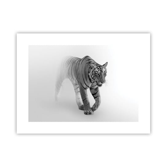 Obraz - Plakat - Przyczajony we mgle - 40x30cm - Zwierzęta Tygrys Drapieżnik - Foto Plakaty na ścianę bez ramy - Plakat do Salonu Sypialni ARTTOR ARTTOR