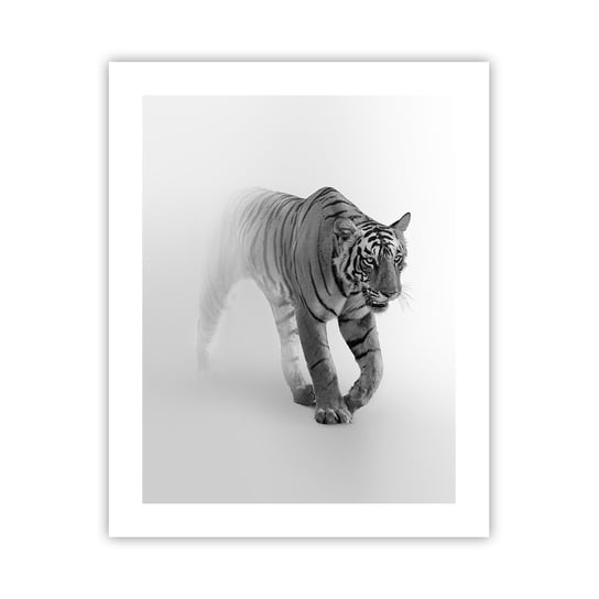 Obraz - Plakat - Przyczajony we mgle - 40x50cm - Zwierzęta Tygrys Drapieżnik - Foto Plakaty bez ramy do Salonu Sypialni ARTTOR ARTTOR