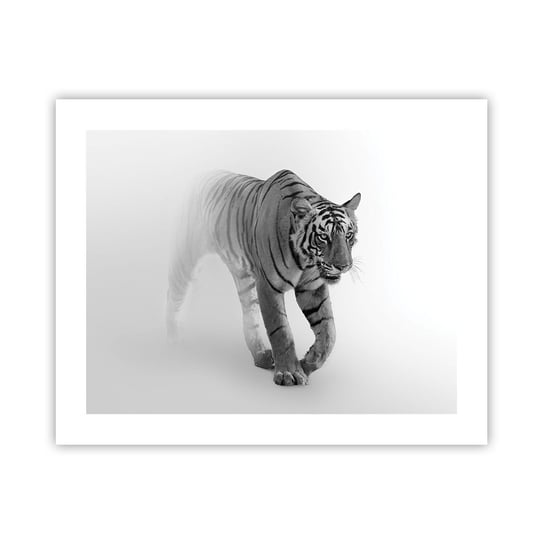Obraz - Plakat - Przyczajony we mgle - 50x40cm - Zwierzęta Tygrys Drapieżnik - Foto Plakaty bez ramy do Salonu Sypialni ARTTOR ARTTOR