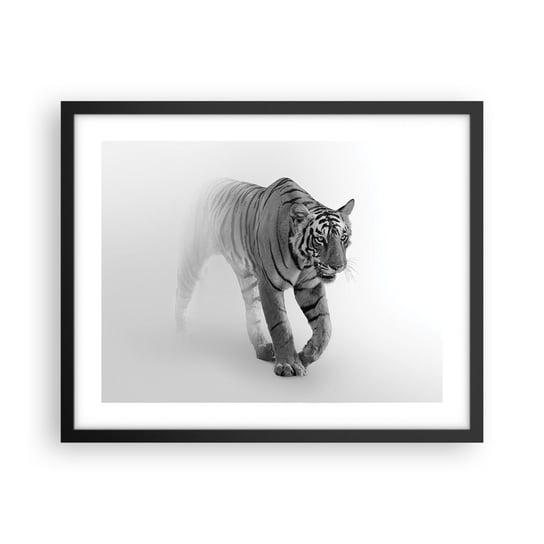 Obraz - Plakat - Przyczajony we mgle - 50x40cm - Zwierzęta Tygrys Drapieżnik - Foto Plakaty w ramie koloru czarnego do Salonu Sypialni ARTTOR ARTTOR