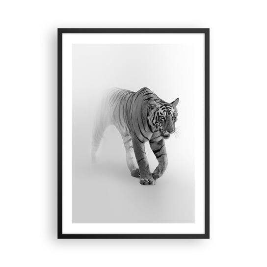 Obraz - Plakat - Przyczajony we mgle - 50x70cm - Zwierzęta Tygrys Drapieżnik - Nowoczesny modny obraz Plakat czarna rama ARTTOR ARTTOR