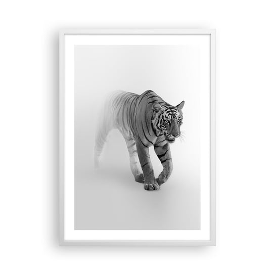 Obraz - Plakat - Przyczajony we mgle - 50x70cm - Zwierzęta Tygrys Drapieżnik - Nowoczesny modny obraz Plakat rama biała ARTTOR ARTTOR