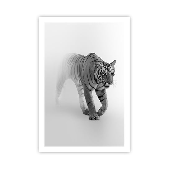 Obraz - Plakat - Przyczajony we mgle - 61x91cm - Zwierzęta Tygrys Drapieżnik - Foto Plakaty na ścianę bez ramy - Plakat do Salonu Sypialni ARTTOR ARTTOR