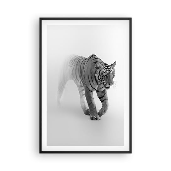 Obraz - Plakat - Przyczajony we mgle - 61x91cm - Zwierzęta Tygrys Drapieżnik - Foto Plakaty na ścianę w czarnej ramie - Plakat do Salonu Sypialni ARTTOR ARTTOR