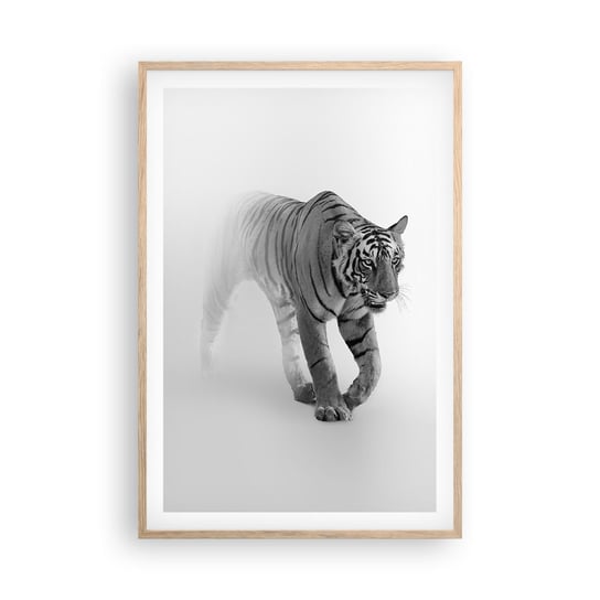 Obraz - Plakat - Przyczajony we mgle - 61x91cm - Zwierzęta Tygrys Drapieżnik - Foto Plakaty na ścianę w ramie jasny dąb - Plakat do Salonu Sypialni ARTTOR ARTTOR