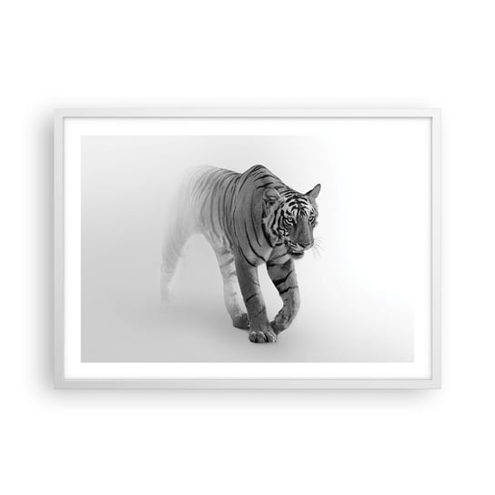 Obraz - Plakat - Przyczajony we mgle - 70x50cm - Zwierzęta Tygrys Drapieżnik - Nowoczesny modny obraz Plakat rama biała ARTTOR ARTTOR