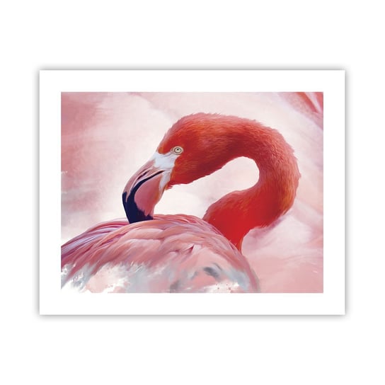 Obraz - Plakat - Ptasia uroda - 50x40cm - Flaming Ptak Natura - Foto Plakaty bez ramy do Salonu Sypialni ARTTOR ARTTOR