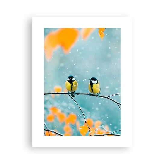 Obraz - Plakat - Ptasie plotki - 30x40cm - Ptaki Natura Zima - Foto Plakaty na ścianę bez ramy - Plakat do Salonu Sypialni ARTTOR ARTTOR