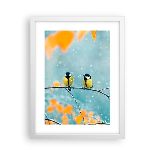 Obraz - Plakat - Ptasie plotki - 30x40cm - Ptaki Natura Zima - Foto Plakaty na ścianę w ramie białej - Plakat do Salonu Sypialni ARTTOR ARTTOR
