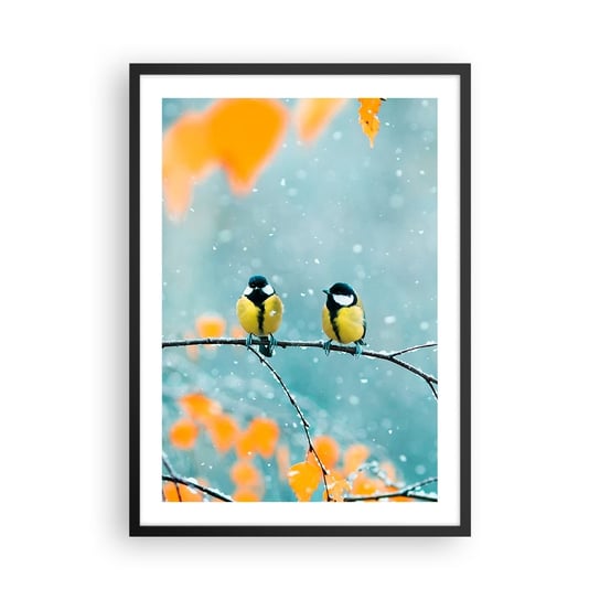 Obraz - Plakat - Ptasie plotki - 50x70cm - Ptaki Natura Zima - Nowoczesny modny obraz Plakat czarna rama ARTTOR ARTTOR