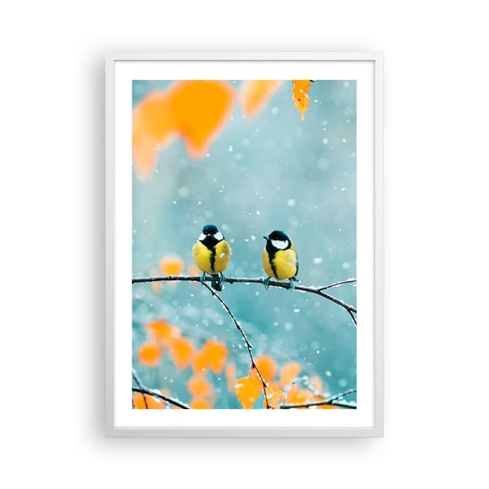 Obraz - Plakat - Ptasie plotki - 50x70cm - Ptaki Natura Zima - Nowoczesny modny obraz Plakat rama biała ARTTOR ARTTOR