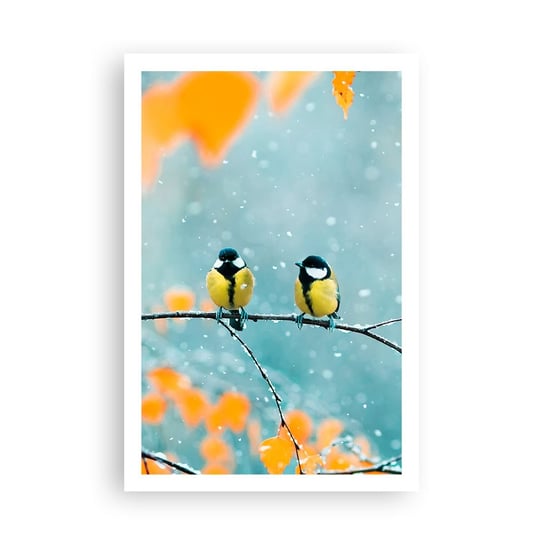 Obraz - Plakat - Ptasie plotki - 61x91cm - Ptaki Natura Zima - Foto Plakaty na ścianę bez ramy - Plakat do Salonu Sypialni ARTTOR ARTTOR