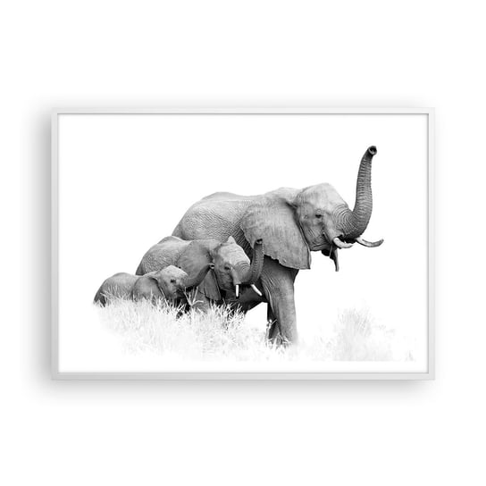 Obraz - Plakat - Raz, dwa, trzy - 100x70cm - Zwierzęta Słoń Czarno-Biały - Foto Plakaty w ramie koloru białego do Salonu Sypialni ARTTOR ARTTOR
