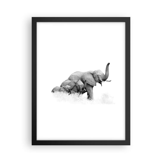 Obraz - Plakat - Raz, dwa, trzy - 30x40cm - Zwierzęta Słoń Czarno-Biały - Foto Plakaty na ścianę w czarnej ramie - Plakat do Salonu Sypialni ARTTOR ARTTOR