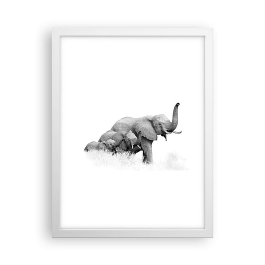 Obraz - Plakat - Raz, dwa, trzy - 30x40cm - Zwierzęta Słoń Czarno-Biały - Foto Plakaty na ścianę w ramie białej - Plakat do Salonu Sypialni ARTTOR ARTTOR